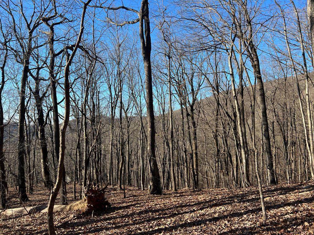 0 Sassafras Court - Photo 1