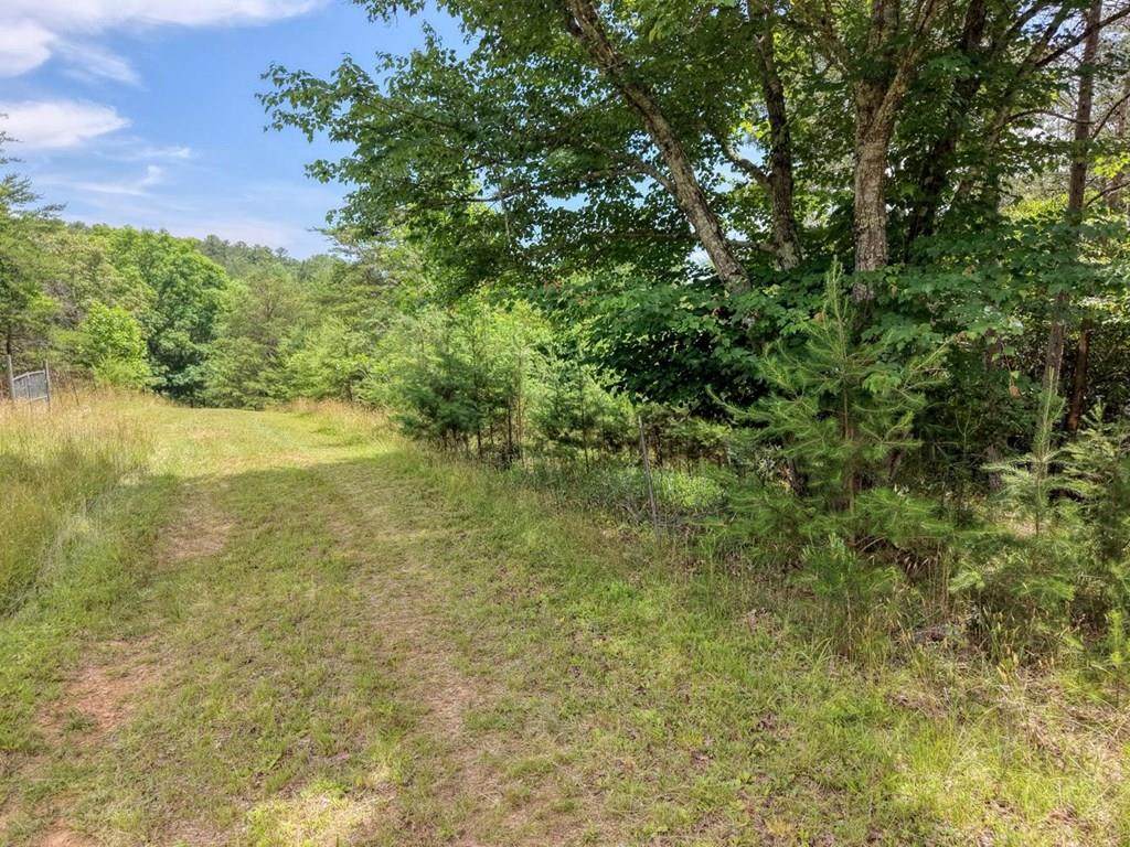 Lot 13 Porter Place - Photo 1