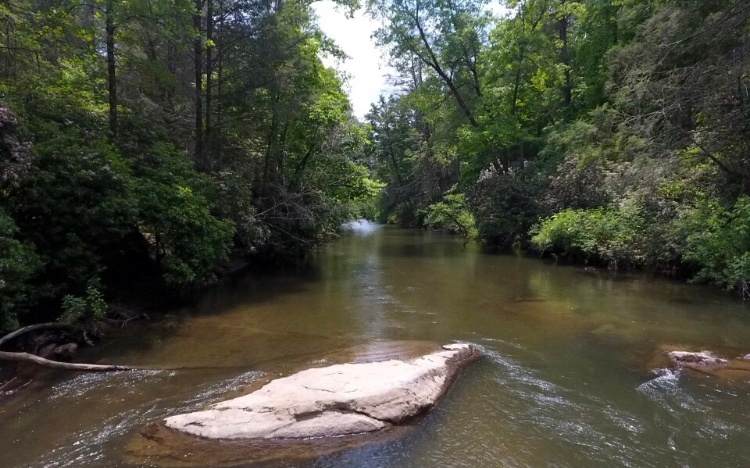 LOT 5 Rivers End Trail - Photo 1