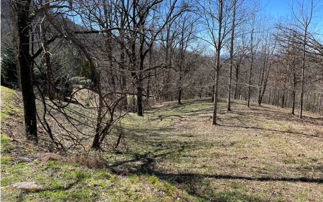 LOT 6 High Meadows - Photo 1