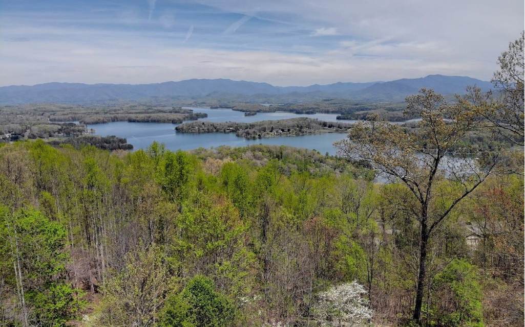 849 Frog Pond Rd - Photo 1