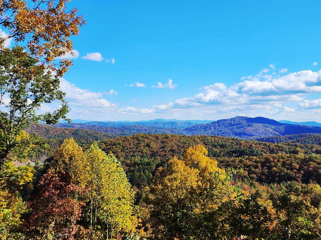 https://bt-photos.global.ssl.fastly.net/negeorgia/orig_boomver_6_414560-2.jpg