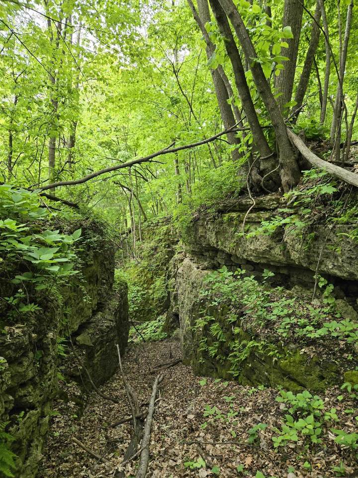  Partridge Road - Photo 1