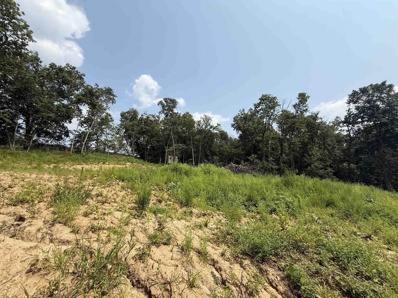 2584 Wild Rose Road - Photo 1