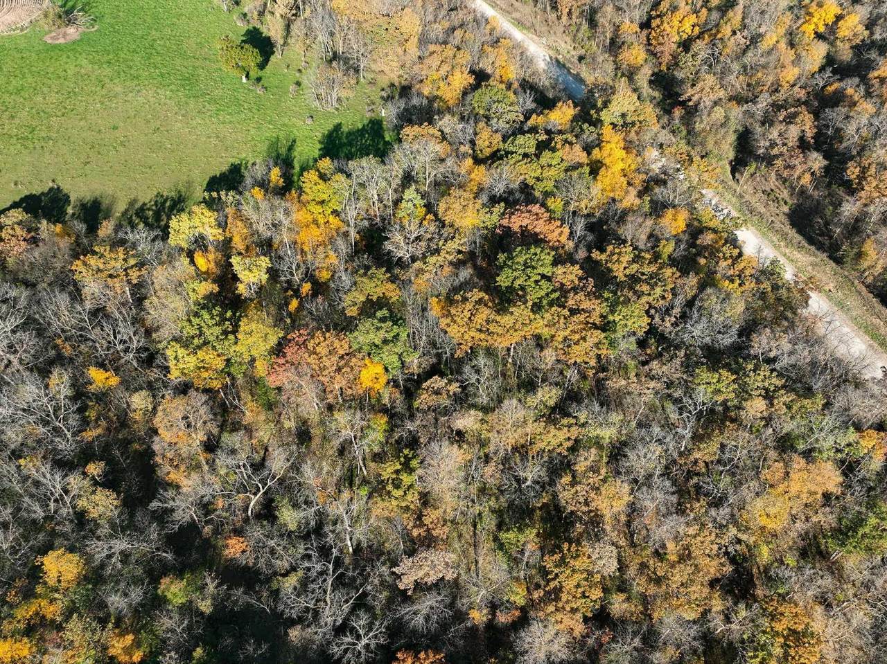 TBD Bear Creek Drive - Photo 1