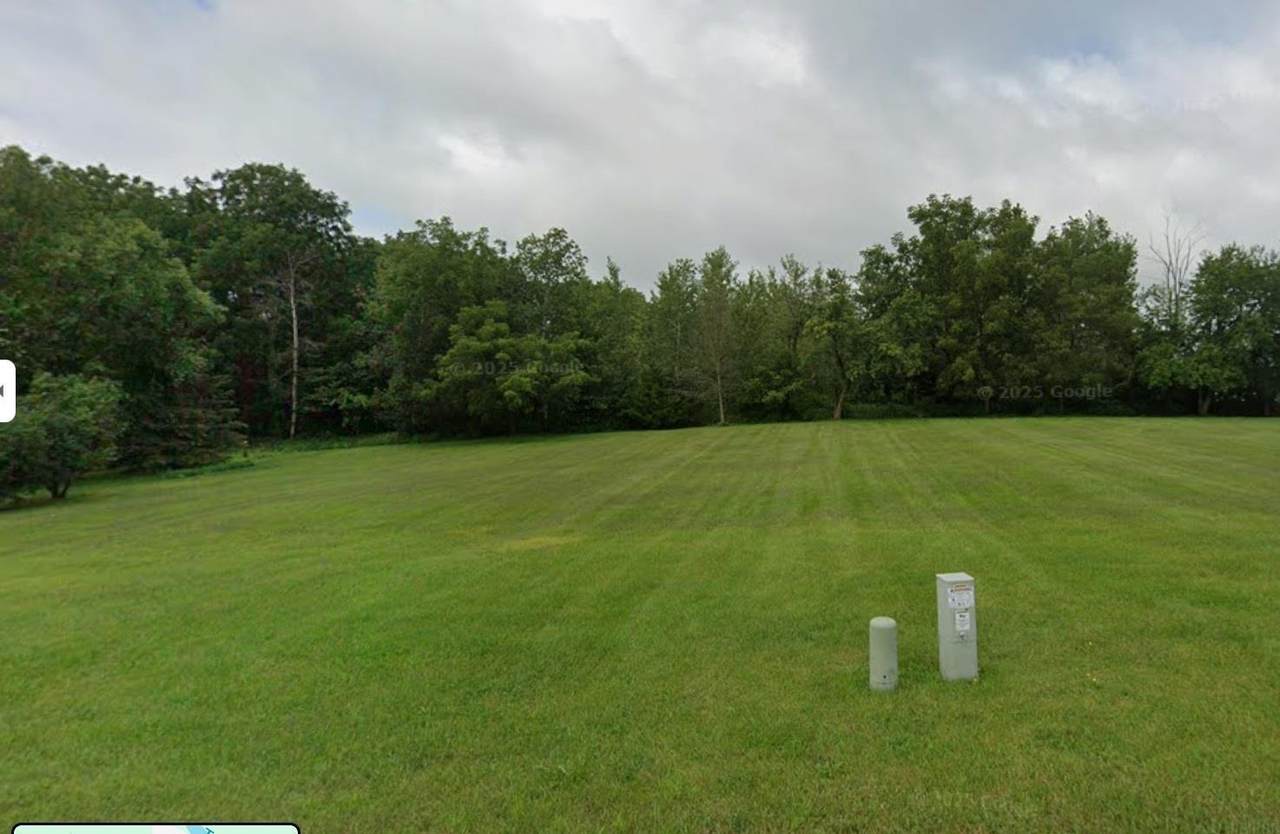  Old Borax Road - Photo 1