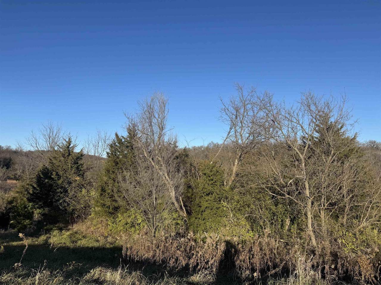 3046 Arrowhead Road - Photo 1