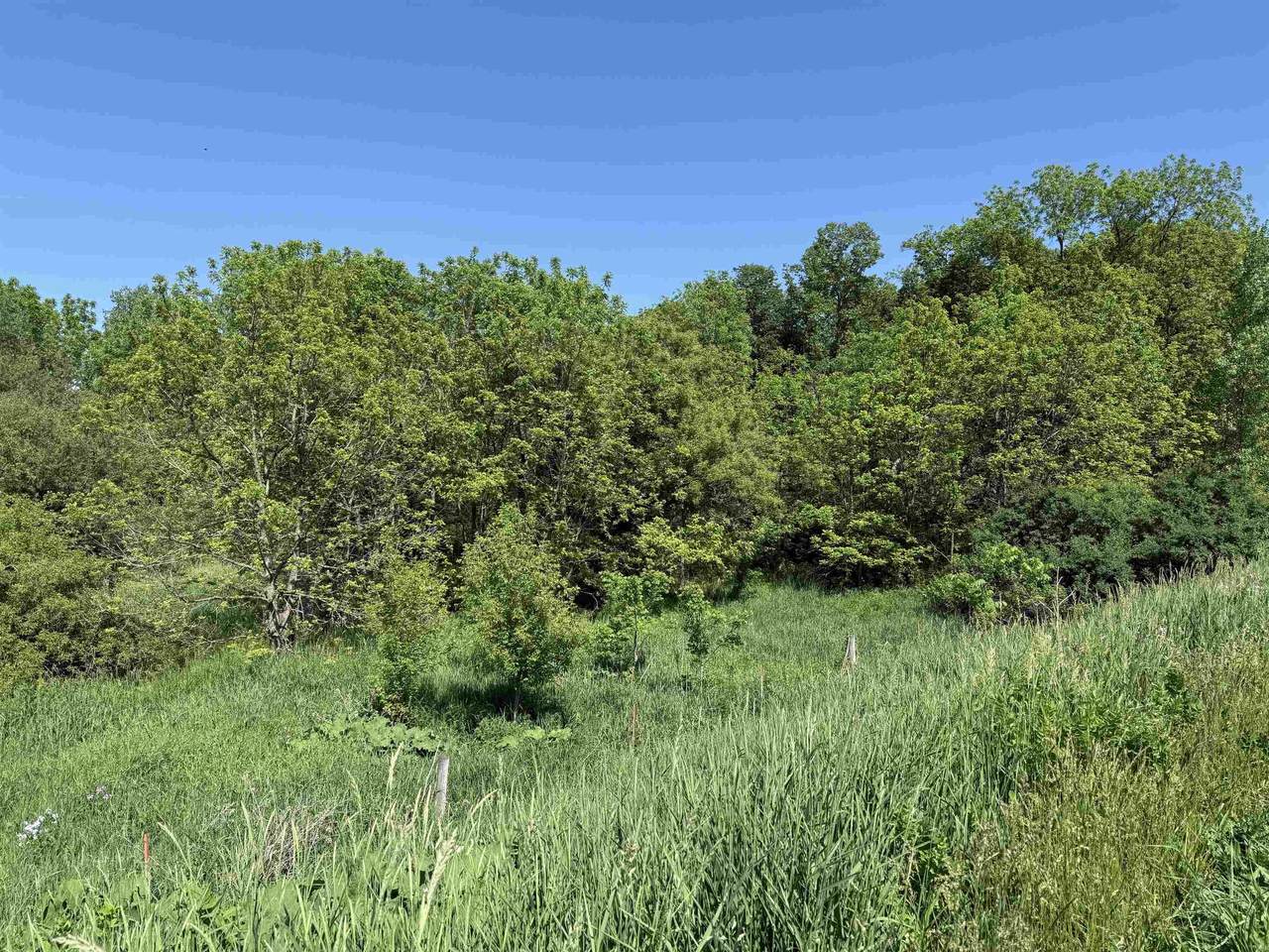  265th Avenue - Photo 1