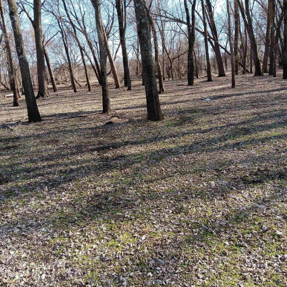 https://bt-photos.global.ssl.fastly.net/neirbr/1280_boomver_1_20262680-1.jpg
