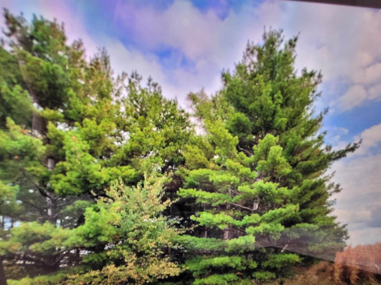  Schrock Road - Photo 1