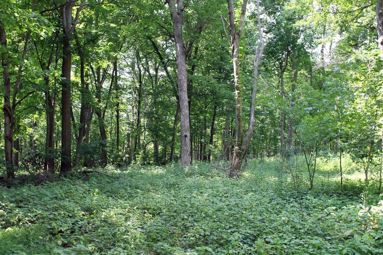  Country Hills Lane - Photo 1