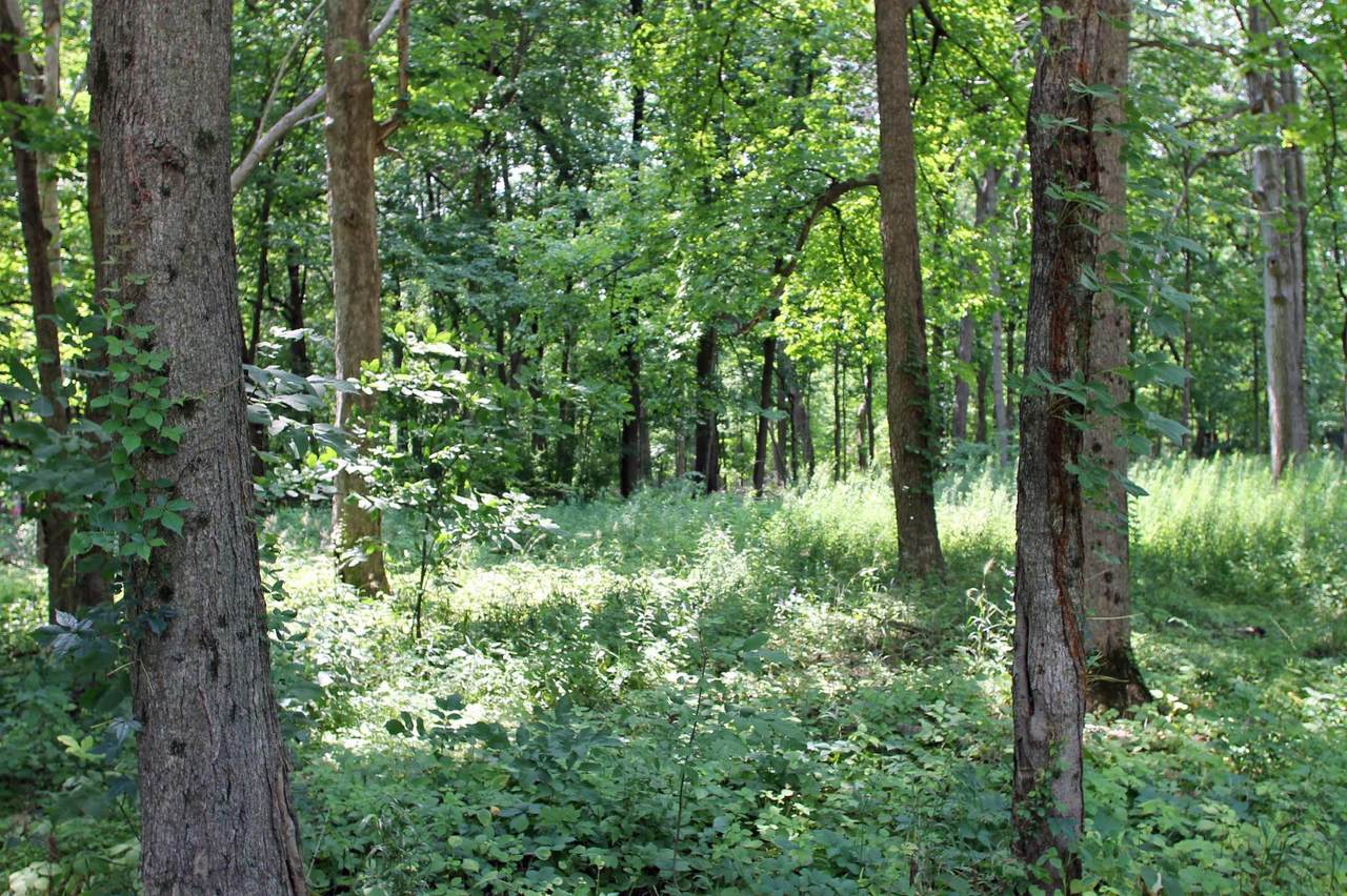 https://bt-photos.global.ssl.fastly.net/neirbr/1280_boomver_1_20263462-1.jpg