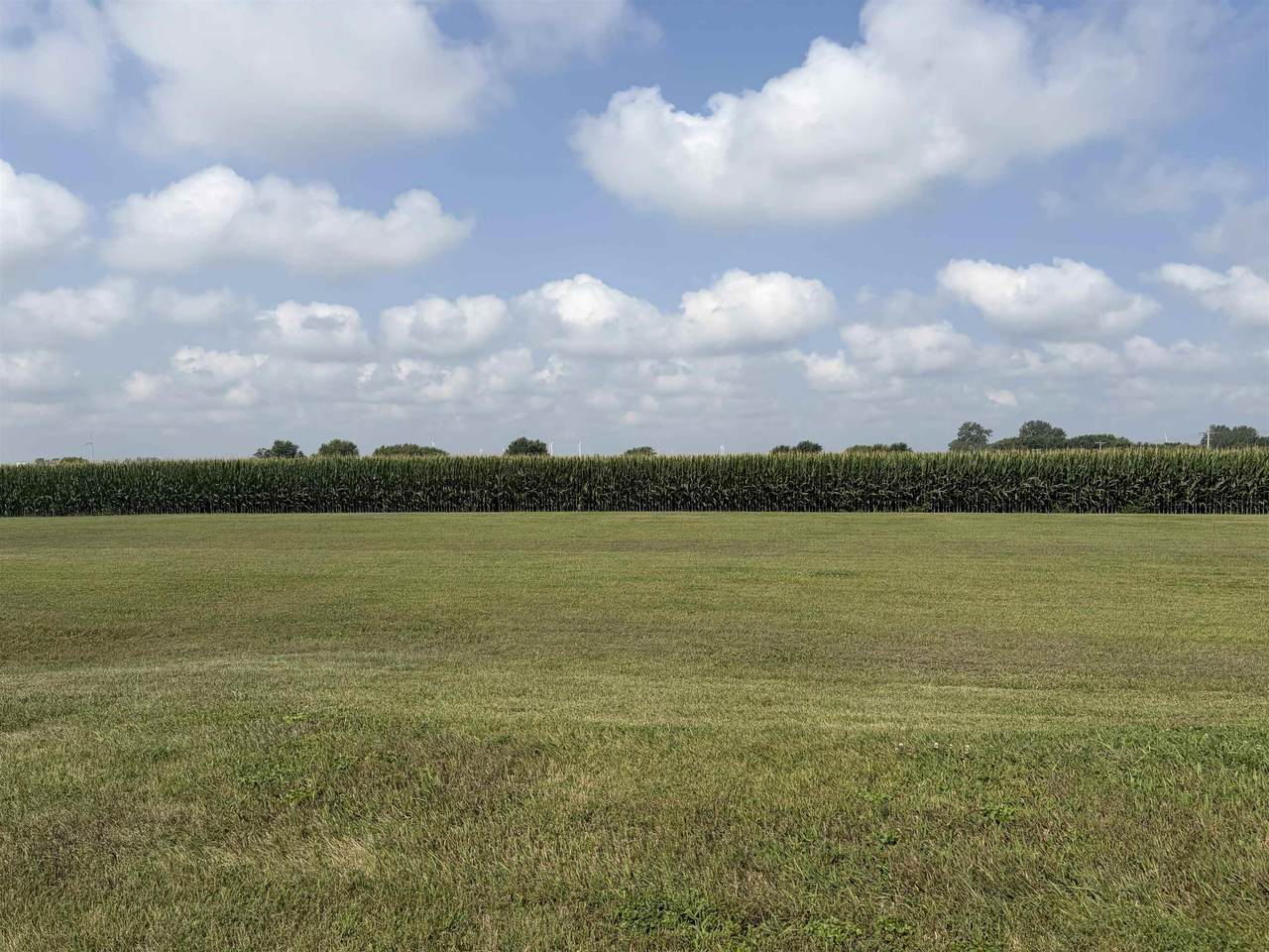 605 Van Buren Street - Photo 1