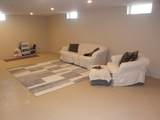 1823 480th Street - Photo 13