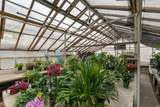 918 1st Street - Photo 18