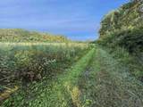 35 acres North Ave - Photo 8