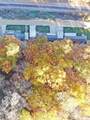 1670 River View Road - Photo 32