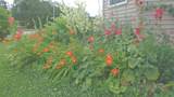 305 Sherman Street - Photo 27
