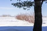 2520 Wooster Road Road - Photo 47