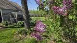 111 Pine Street - Photo 7