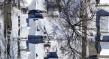 516 Cutler Street - Photo 28