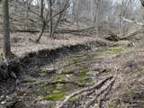  110th Avenue - Photo 8