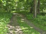 24155 115th Street - Photo 28