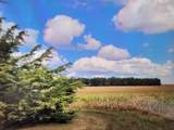  Schrock Road - Photo 2
