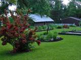2613 Joplin Avenue - Photo 45