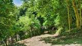 949 Lansing Harpers Road - Photo 3