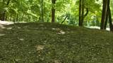 949 Lansing Harpers Road - Photo 6