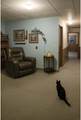 117 Main Street - Photo 24