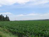  185th Avenue - Photo 10