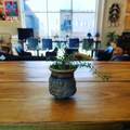 504 Bluff Street - Photo 2