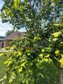 190 1st Street - Photo 28