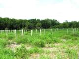 2518 155th Street - Photo 20