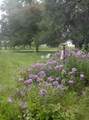 509 Lybrand Street - Photo 41