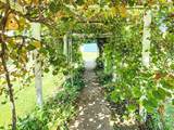 117 3rd Street - Photo 42