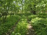 24155 115th Street - Photo 23