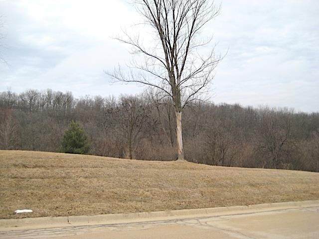 Lot 16 Ohmer Ridge Subdivision - Photo 1