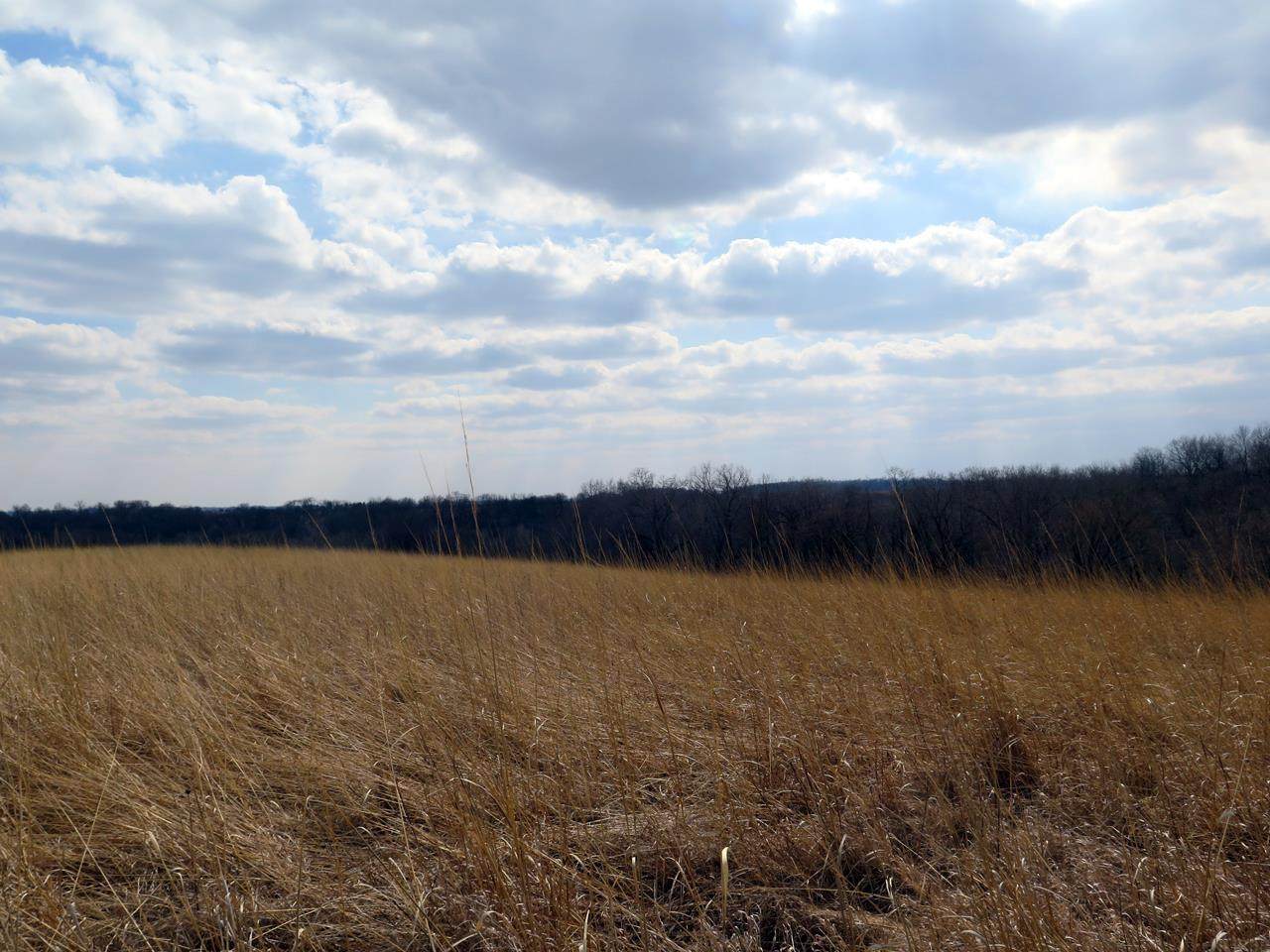 https://bt-photos.global.ssl.fastly.net/neirbr/orig_boomver_1_20261237-1.jpg
