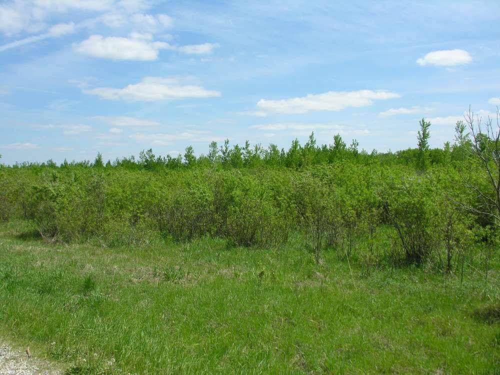 58381 140th Street - Photo 1