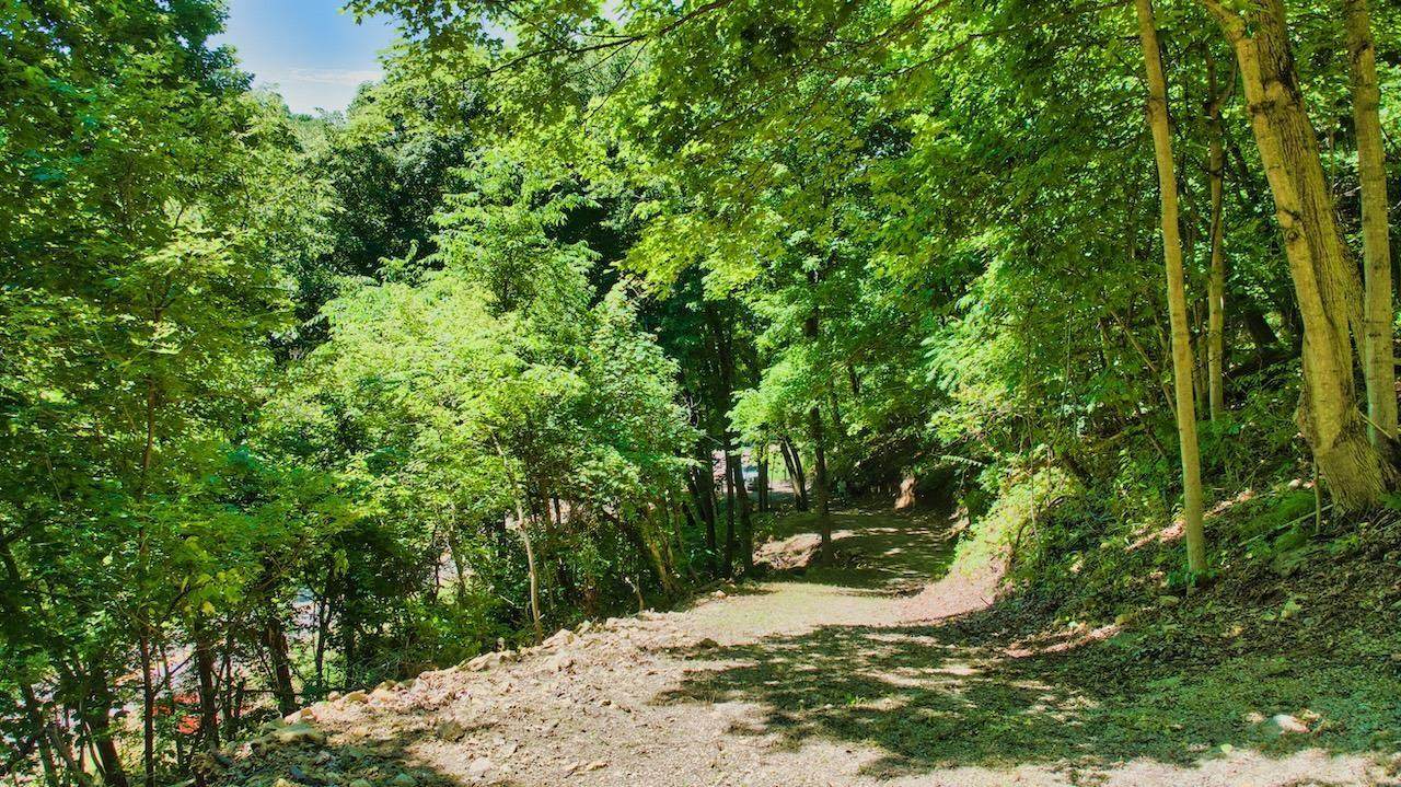 https://bt-photos.global.ssl.fastly.net/neirbr/orig_boomver_1_20263010-1.jpg