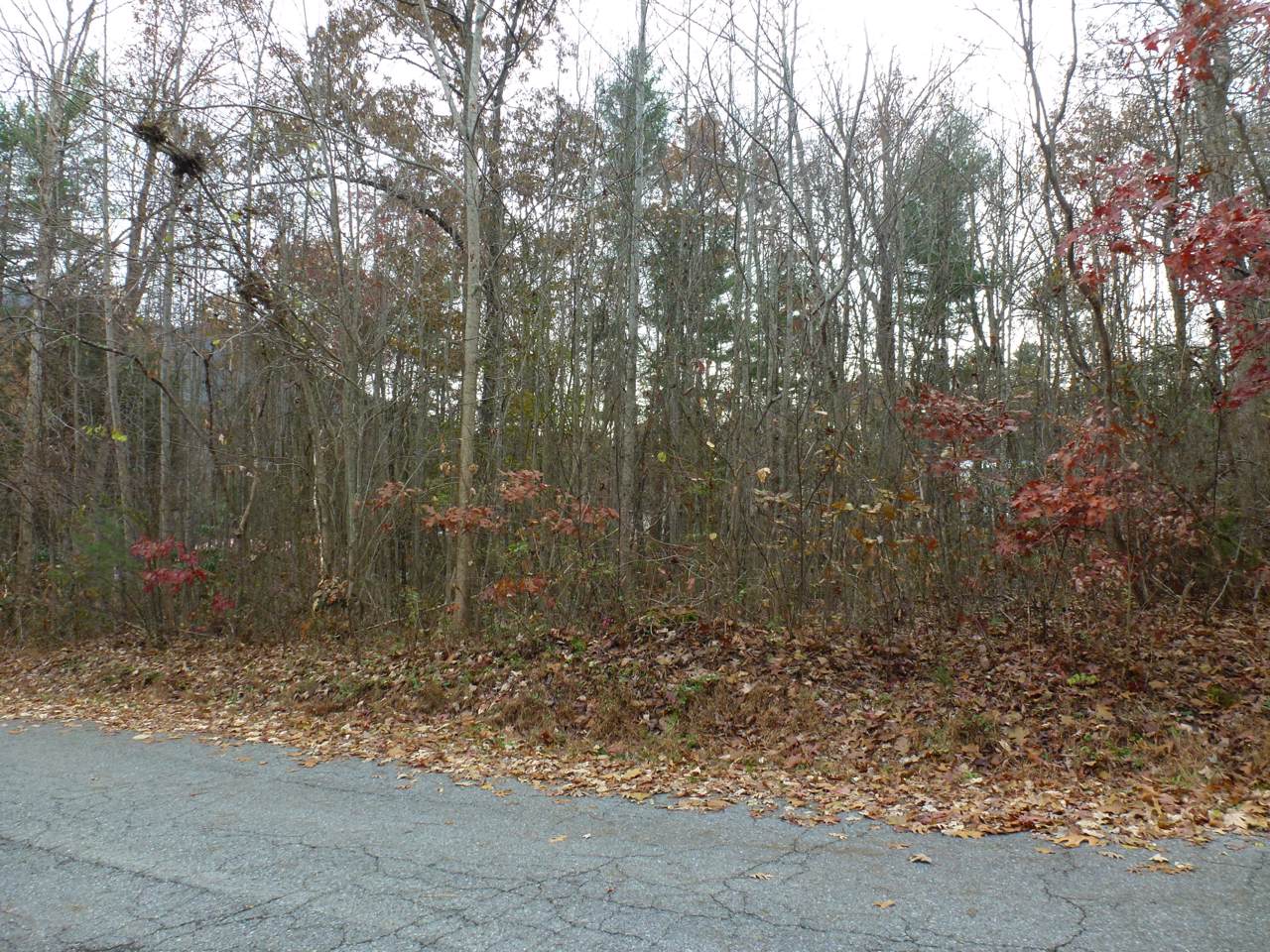 Lot 18 Mountain View Circle - Photo 1