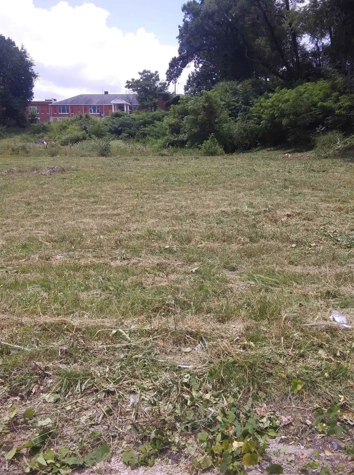 TBD Lynn Garden Drive - Photo 1