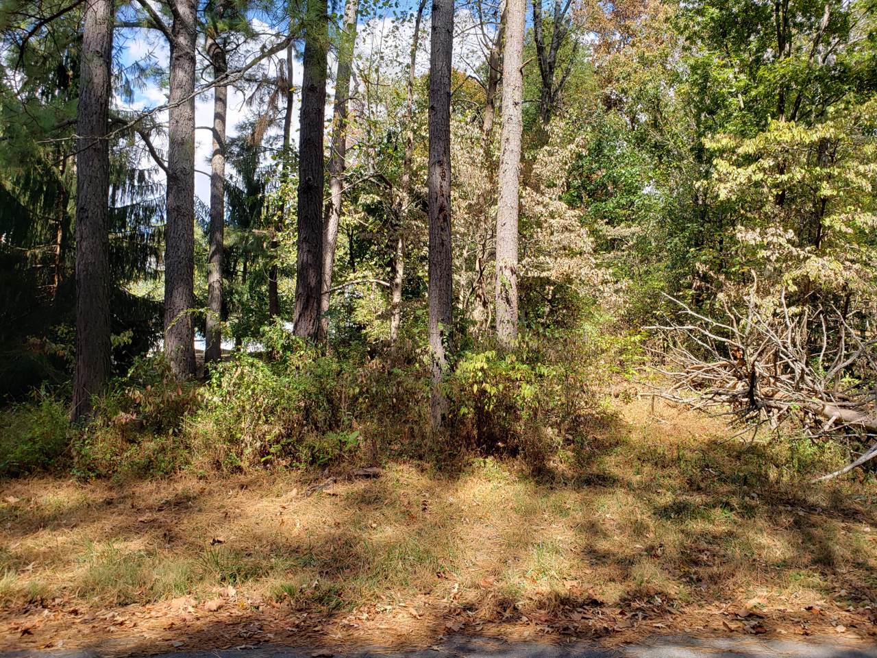 0 Woodgreen Lane - Photo 1