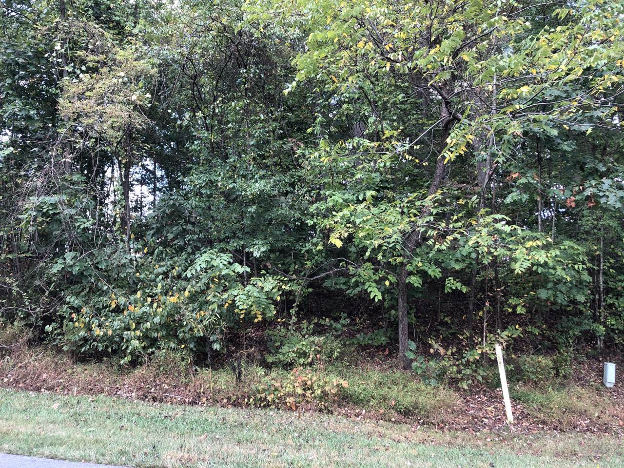 Tbd Stonewall Ridge - Photo 1