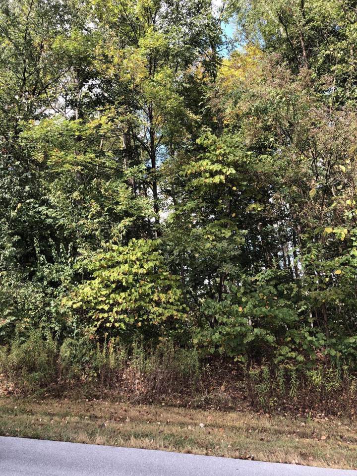 Tbd Stonewall Ridge - Photo 1