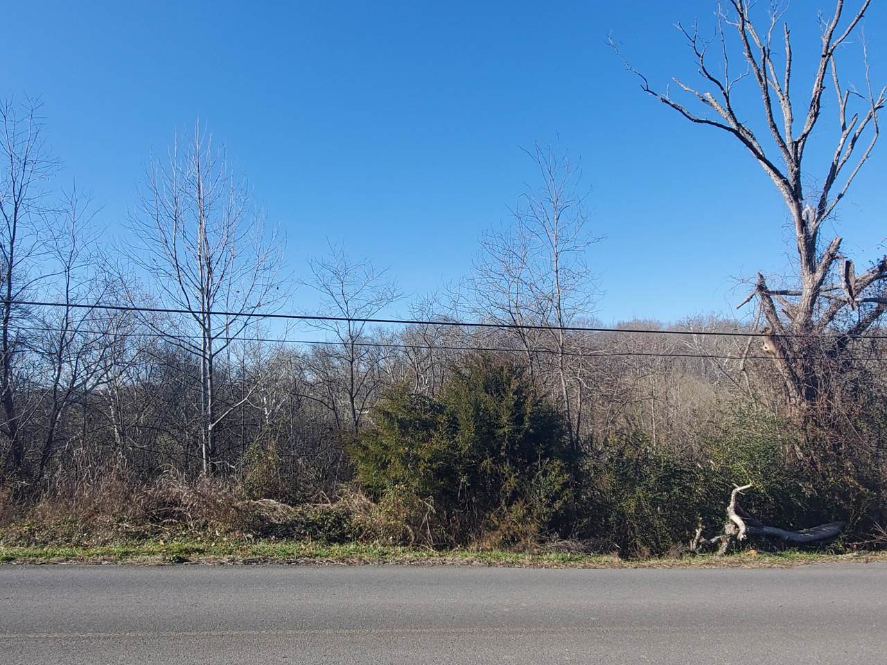251 Davy Crockett Rd. - Photo 1