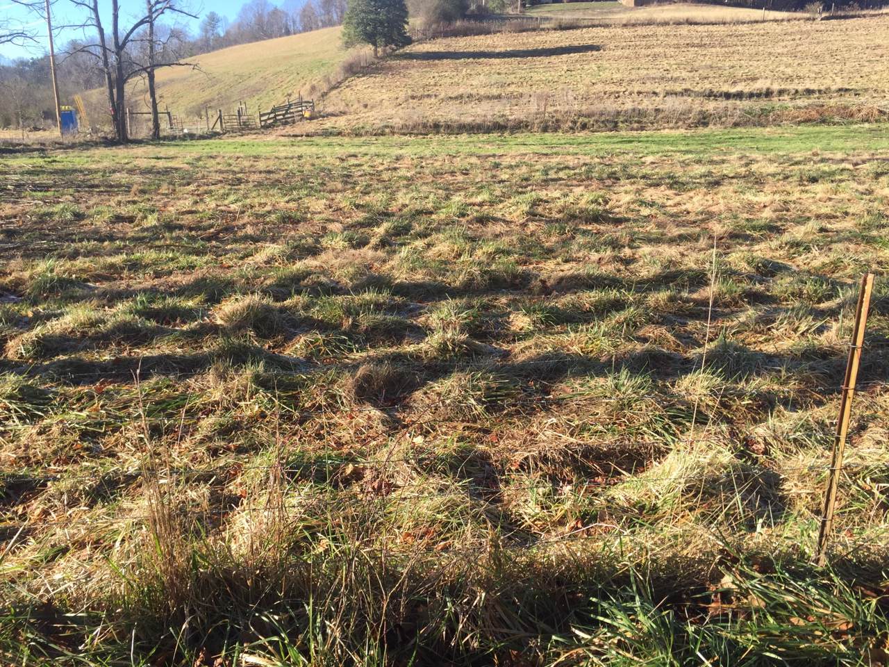 670 Laurels Rd - Photo 1